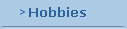 Hobbies