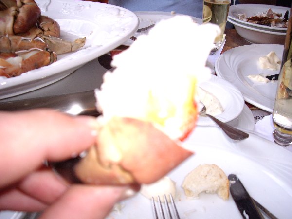 imgp0664.jpg