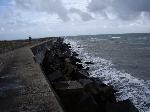 imgp0649.jpg