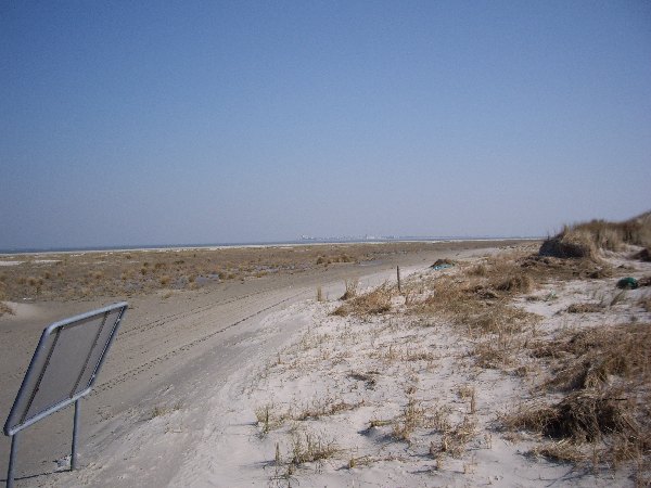 IMGP0155.JPG