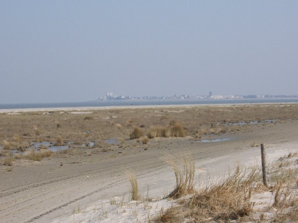 IMGP0156.JPG