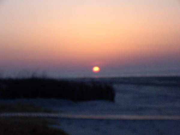 IMGP0168.JPG