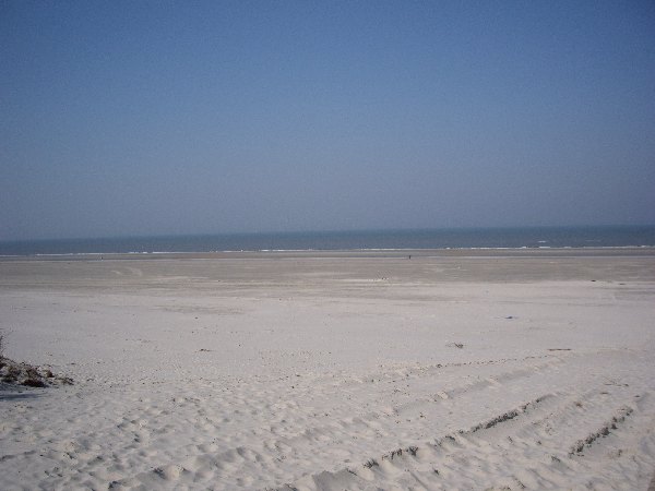 IMGP0180.JPG