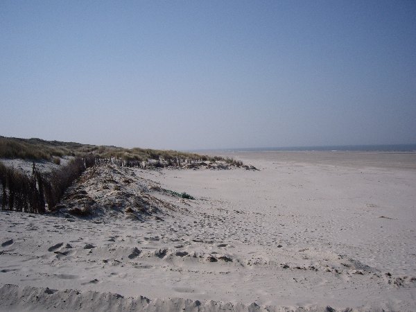 IMGP0183.JPG