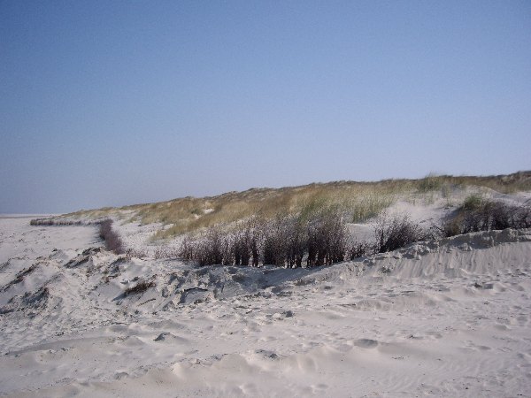 IMGP0184.JPG