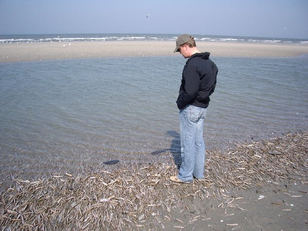 IMGP0188.JPG