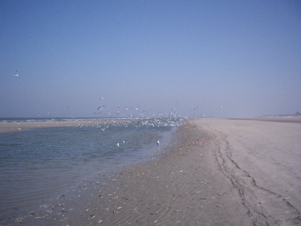 IMGP0194.JPG