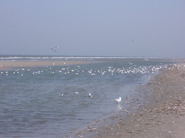 IMGP0199.JPG
