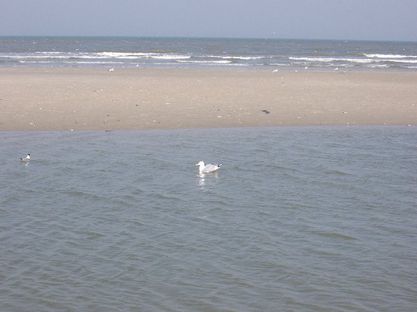 IMGP0200.JPG