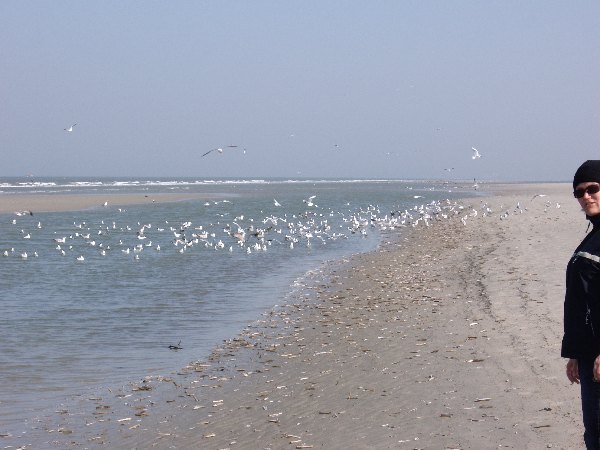 IMGP0201.JPG