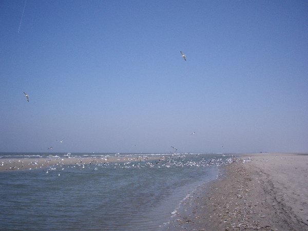 IMGP0202.JPG