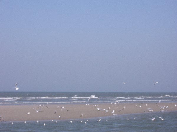 IMGP0205.JPG