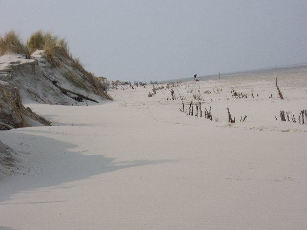 IMGP0207.JPG