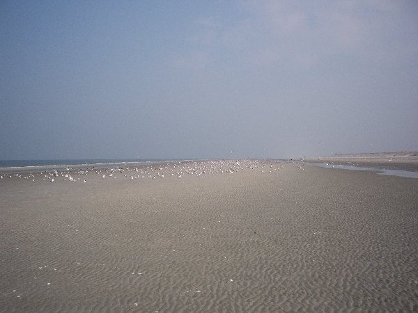 IMGP0215.JPG