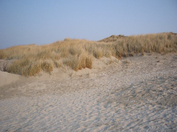 IMGP0230.JPG