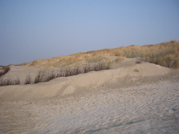 IMGP0232.JPG