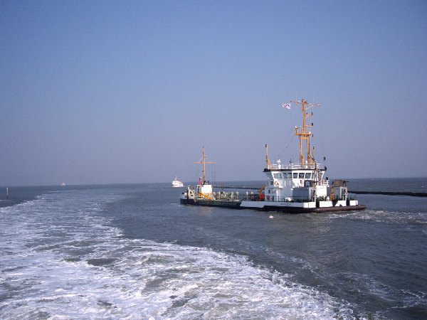 IMGP0246.JPG