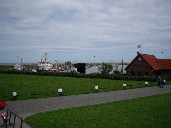IMGP0547.JPG