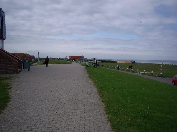 IMGP0549.JPG
