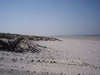IMGP0183.JPG